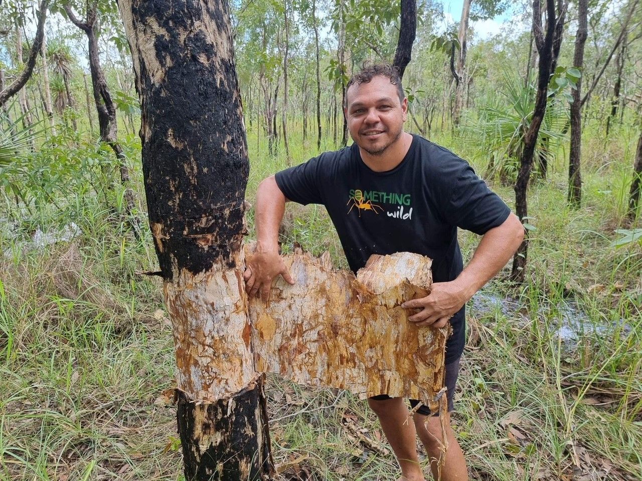 A man is standing next to a tree in the woods holding a piece of wood.