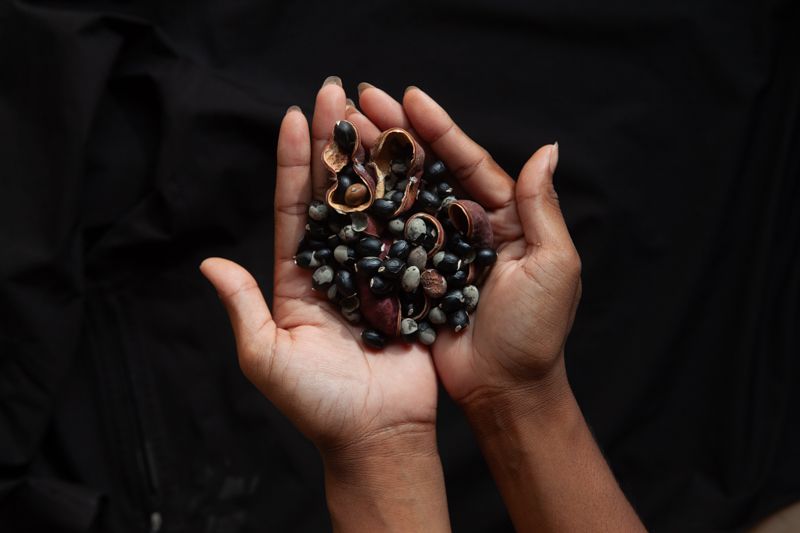 A person is holding a pile of nuts in their hands.