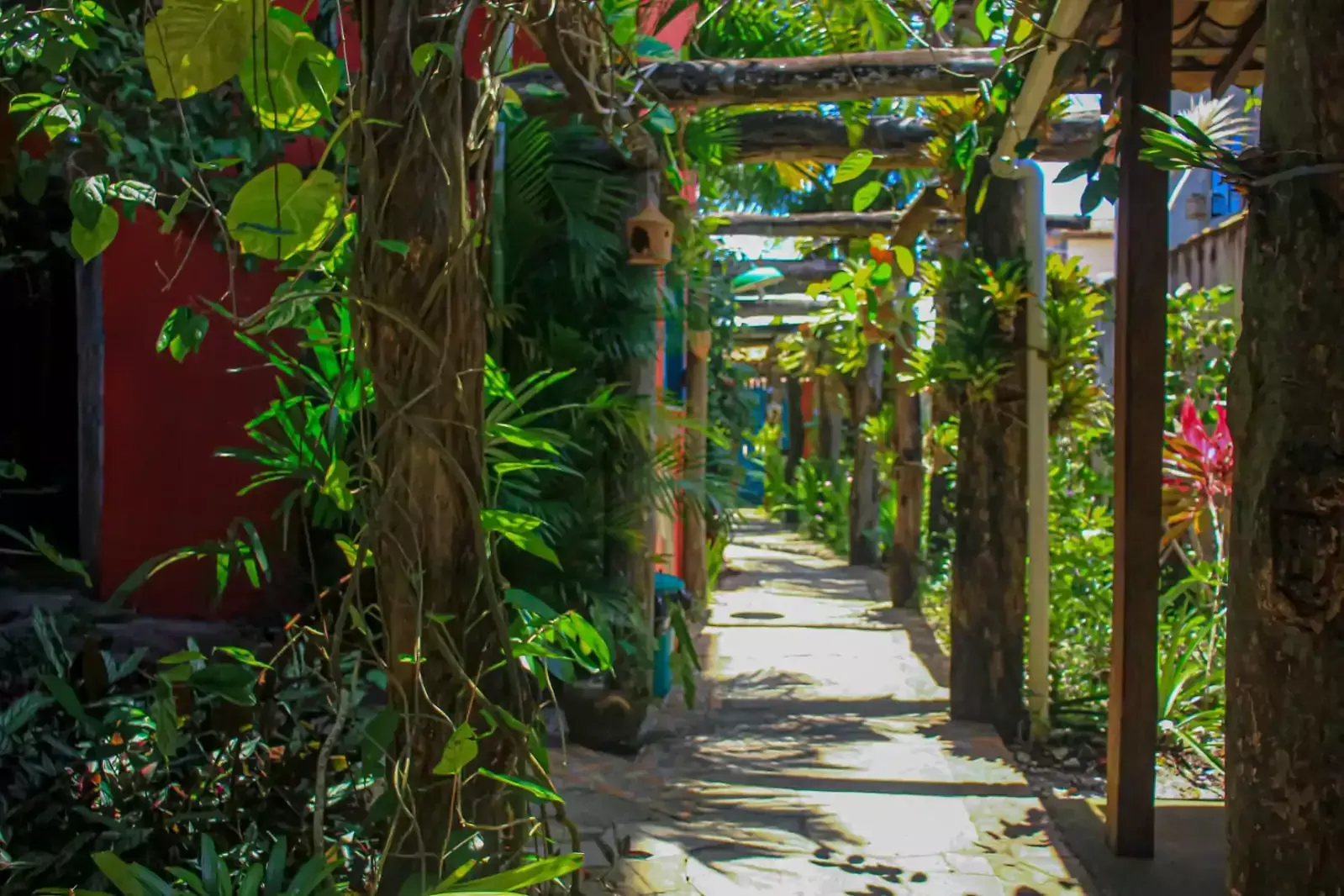 Uma longa passarela cercada por árvores e plantas em um jardim.- Hostel-Mama-Africa-2