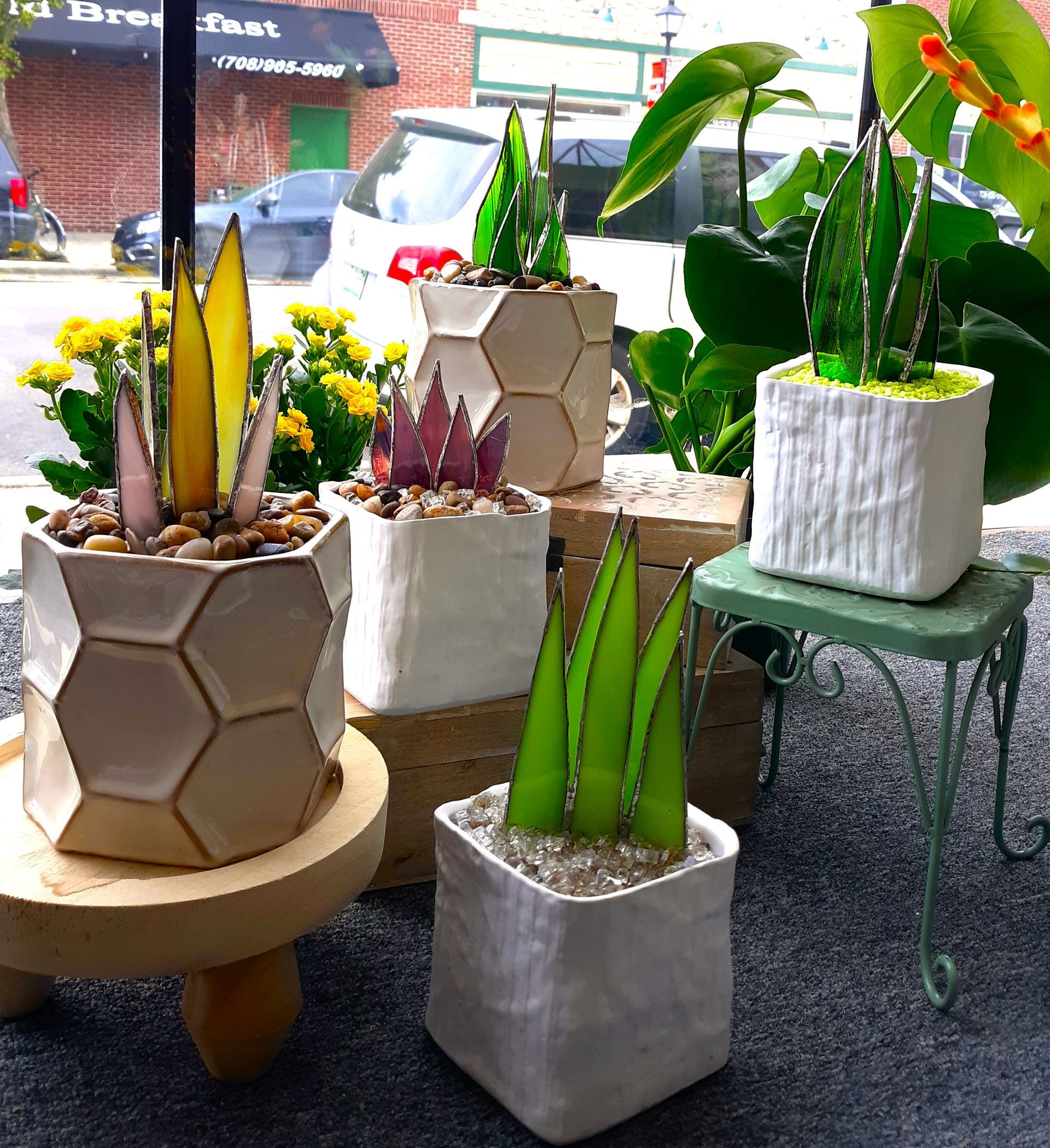 A bunch of potted plants are sitting on a table