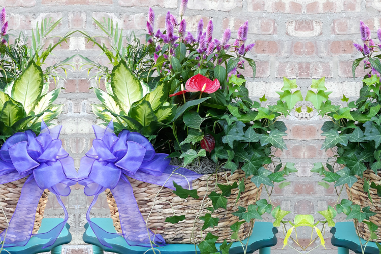 A wicker basket filled with flowers and plants against a brick wall.