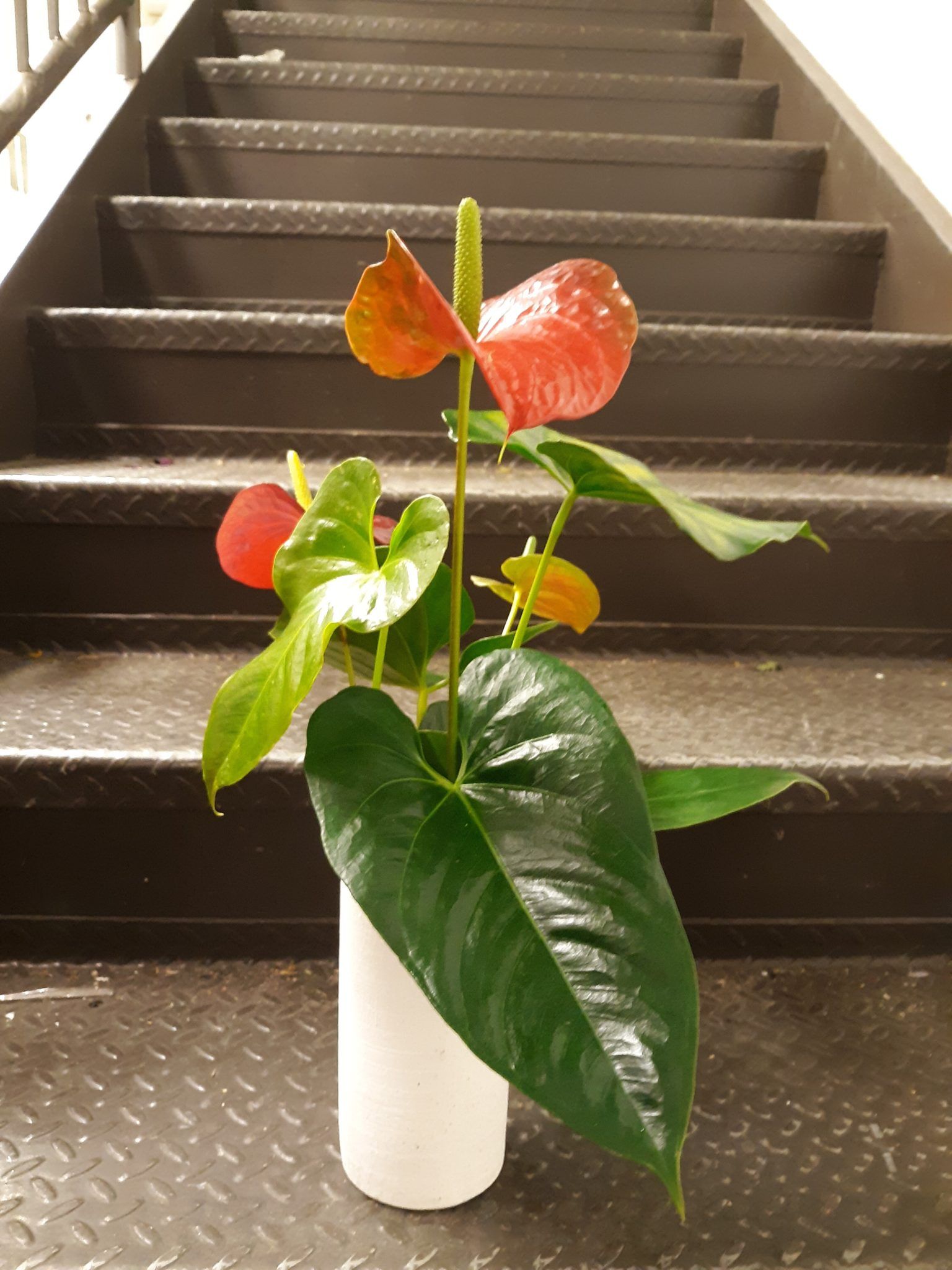 A plant in a white vase is sitting on a set of stairs.