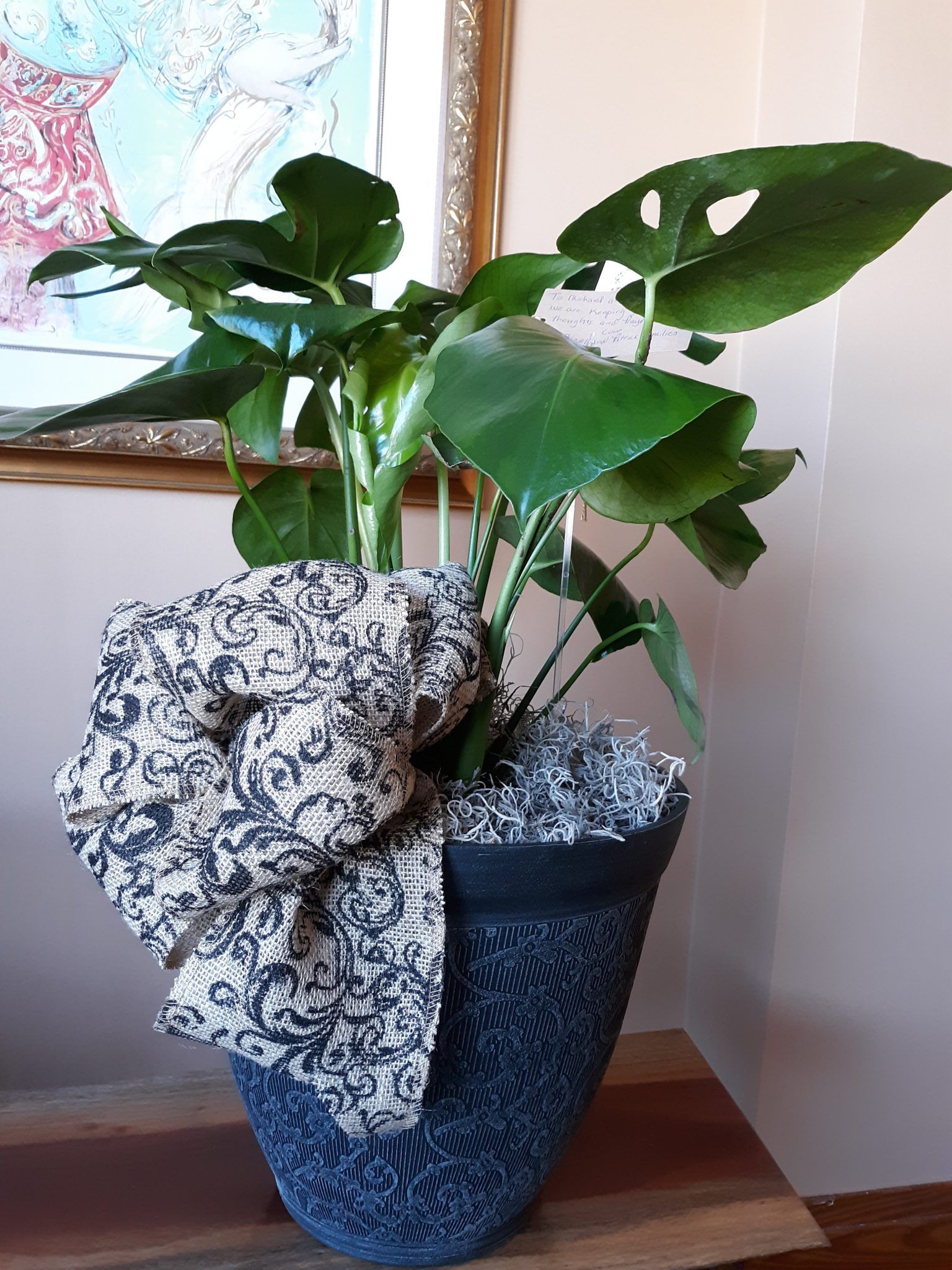 A potted plant with a bow on it is sitting on a table.