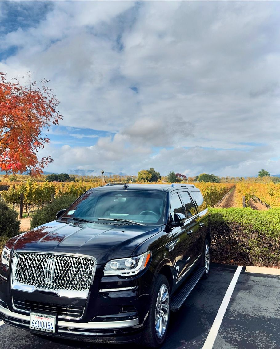 A black car is parked in a parking lot in front of a vineyard.