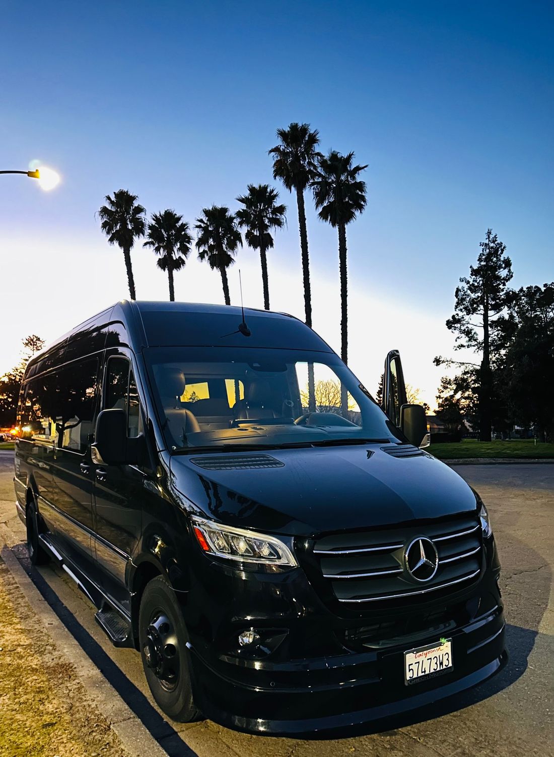 A black van is parked on the side of the road with palm trees in the background.