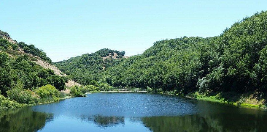A lake surrounded by trees and hills on a sunny day