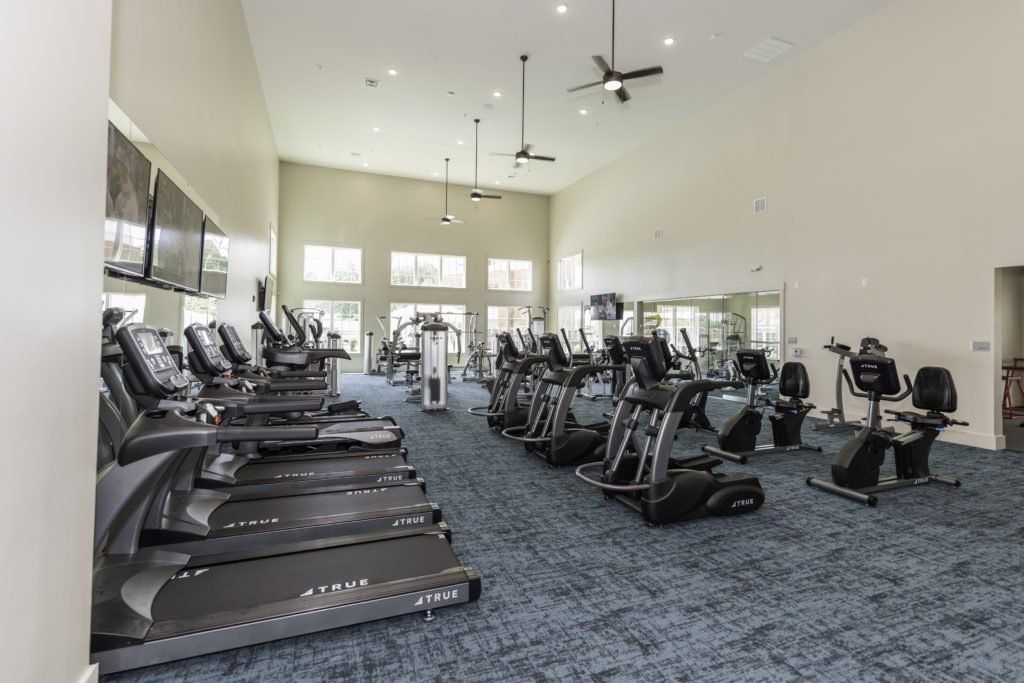 A large gym with a lot of treadmills and exercise bikes.