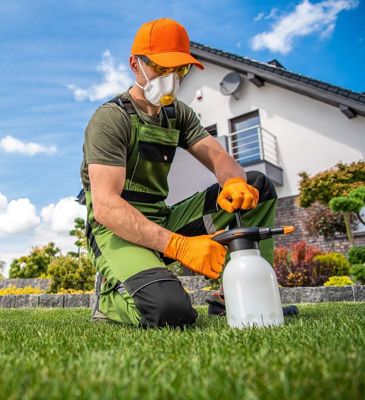 residential pest control services in Menifee, CA