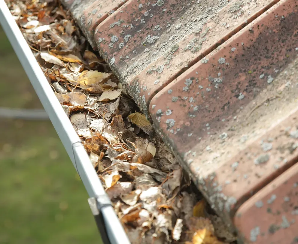 A Gutter Blocked With Dead Leaves — 2easy Cleaning in Bendigo, VIC