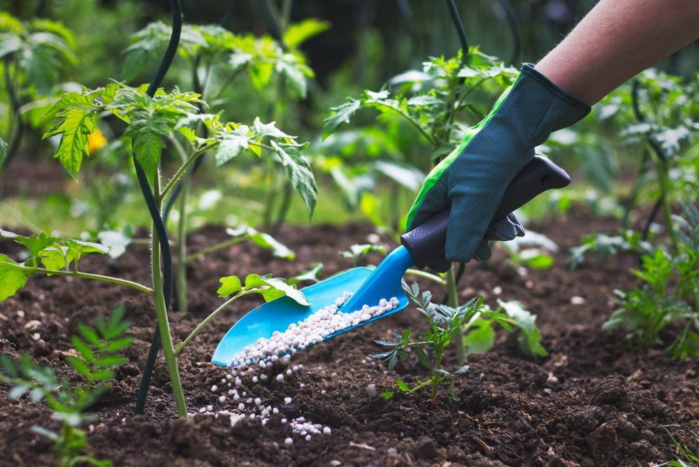 Gardiner Putting Some Fertilizer On The Soil — 2easy Cleaning in Bendigo, VIC
