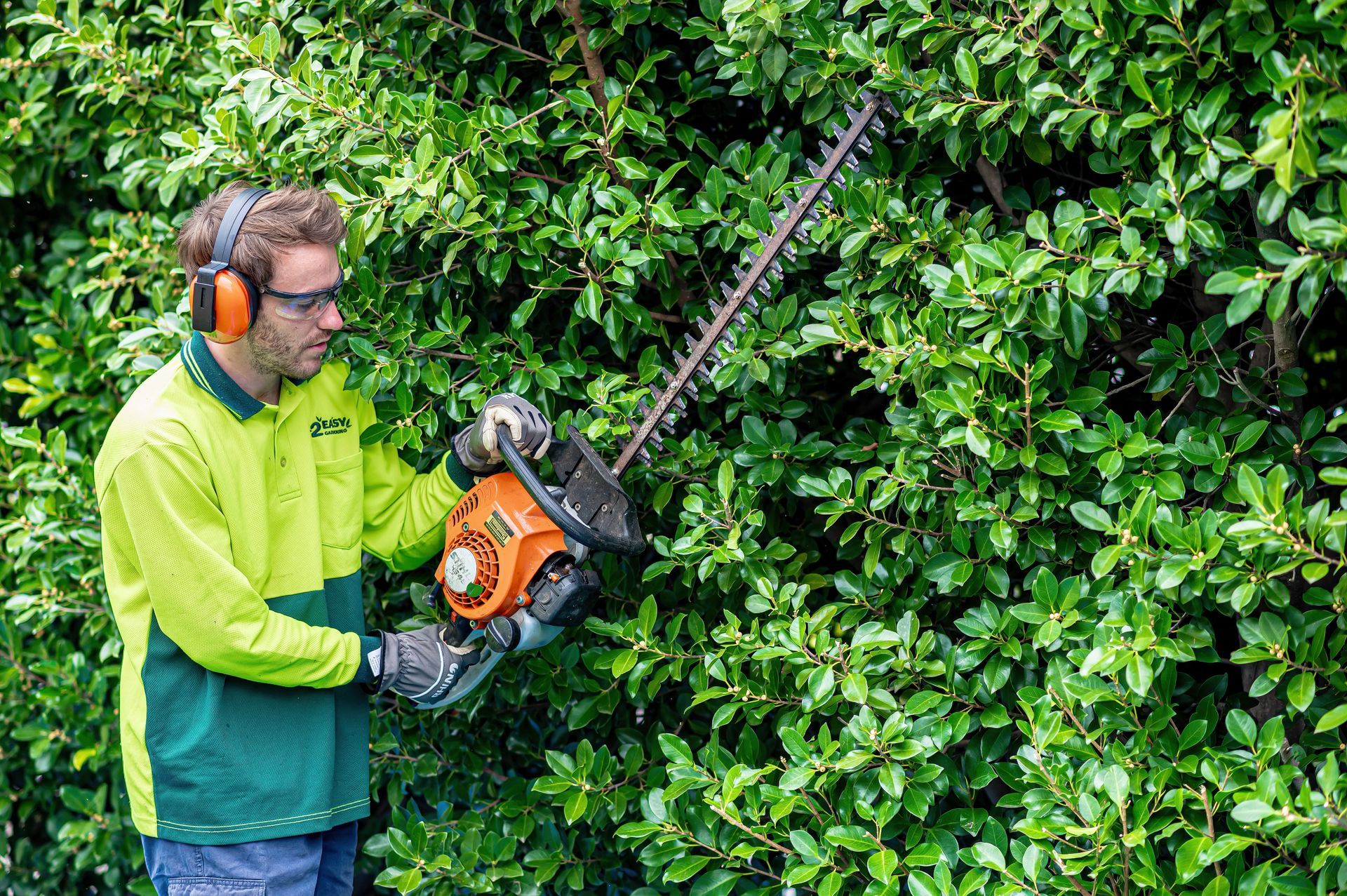 A Man Is Cutting A Hedge With A Hedge Trimmer — 2easy Cleaning in Bendigo, VIC