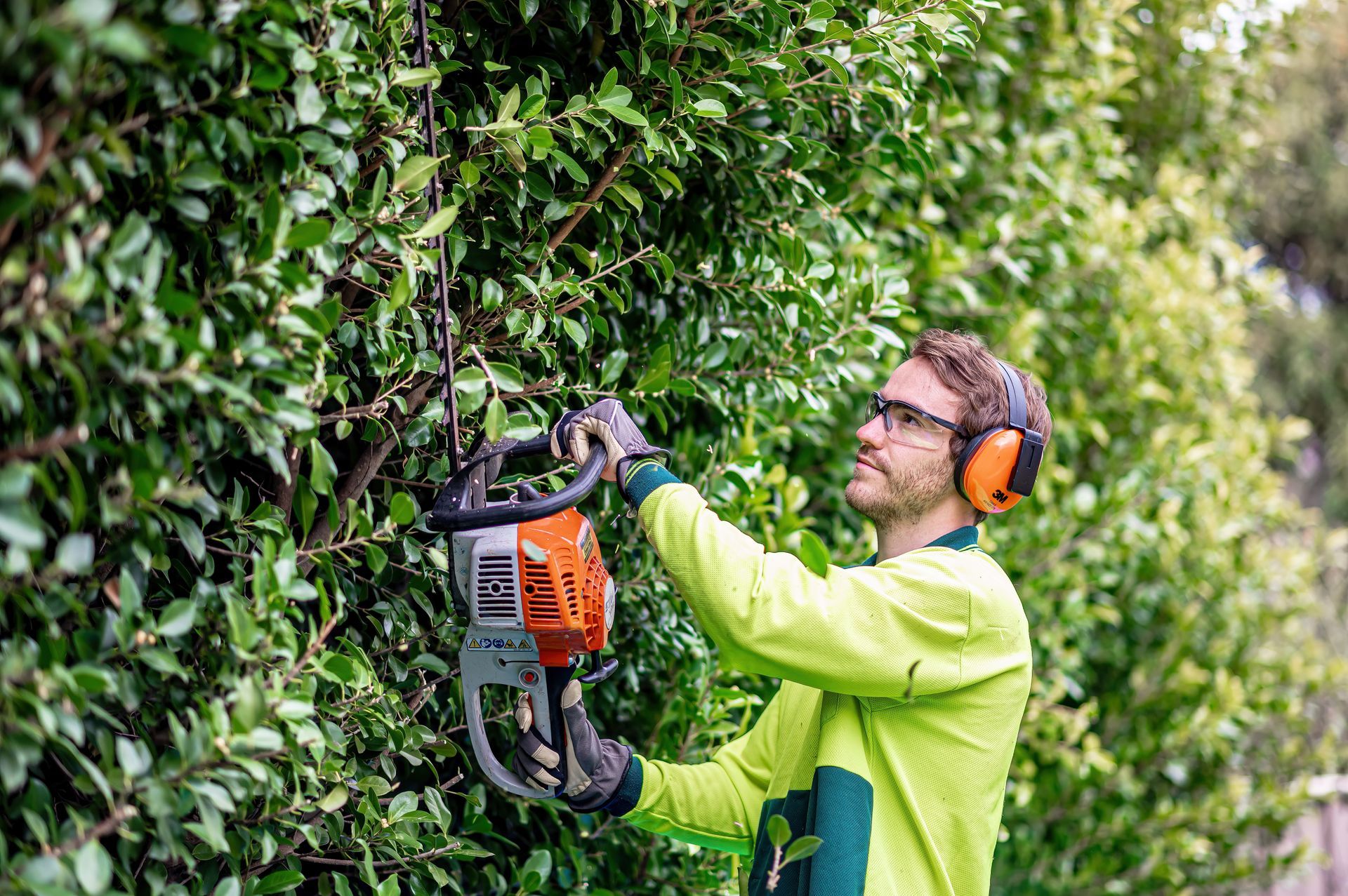 A Man Is Cutting A Hedge With A Chainsaw — 2easy Cleaning in Bendigo, VIC