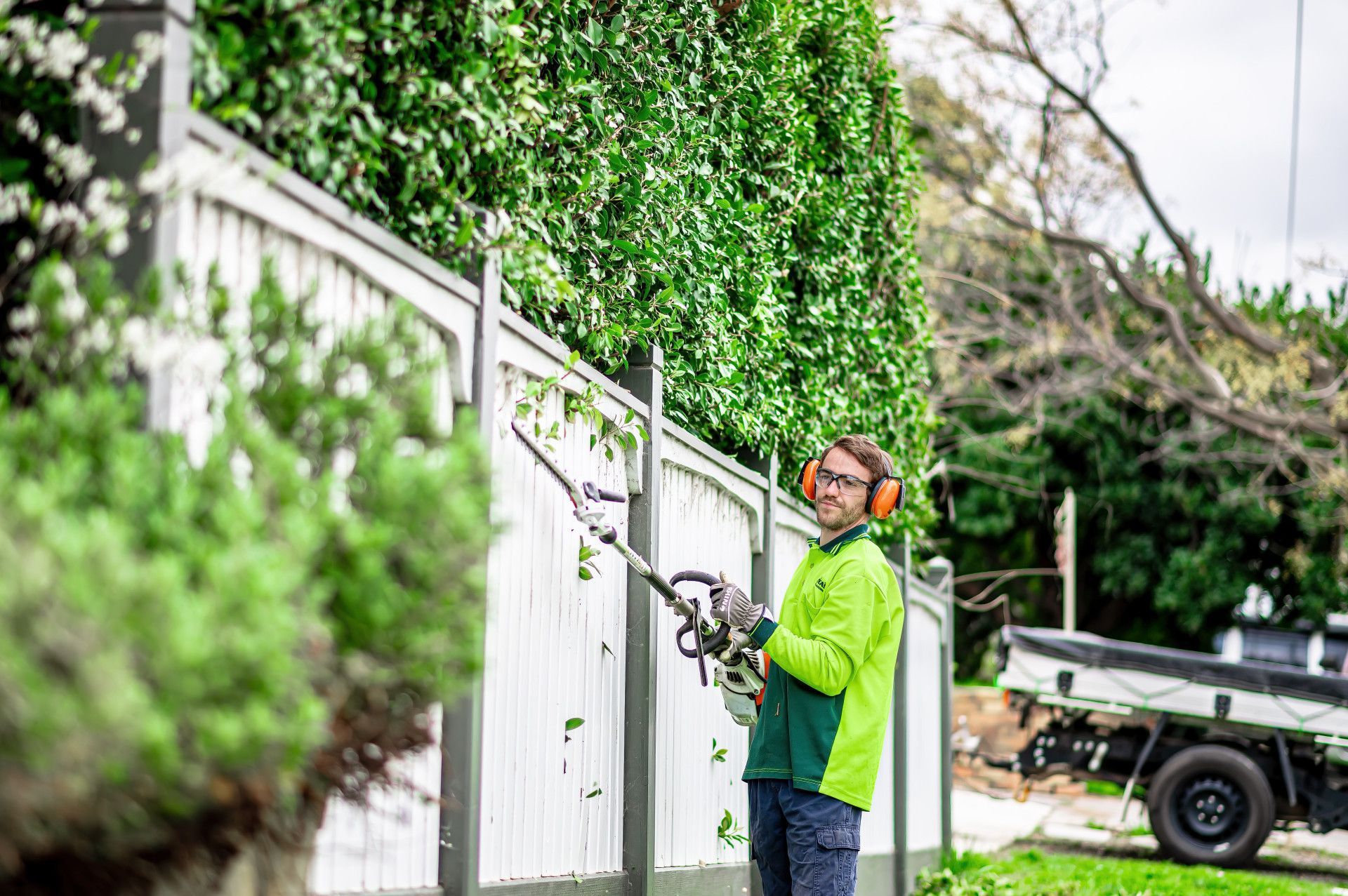 Headge Trimminmg — 2easy Cleaning in Bendigo, VIC