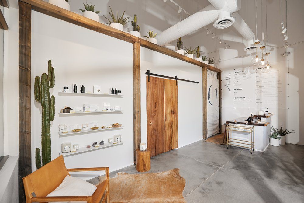 Interior of a retail space with wood accents, cactus, and minimalist displays.
