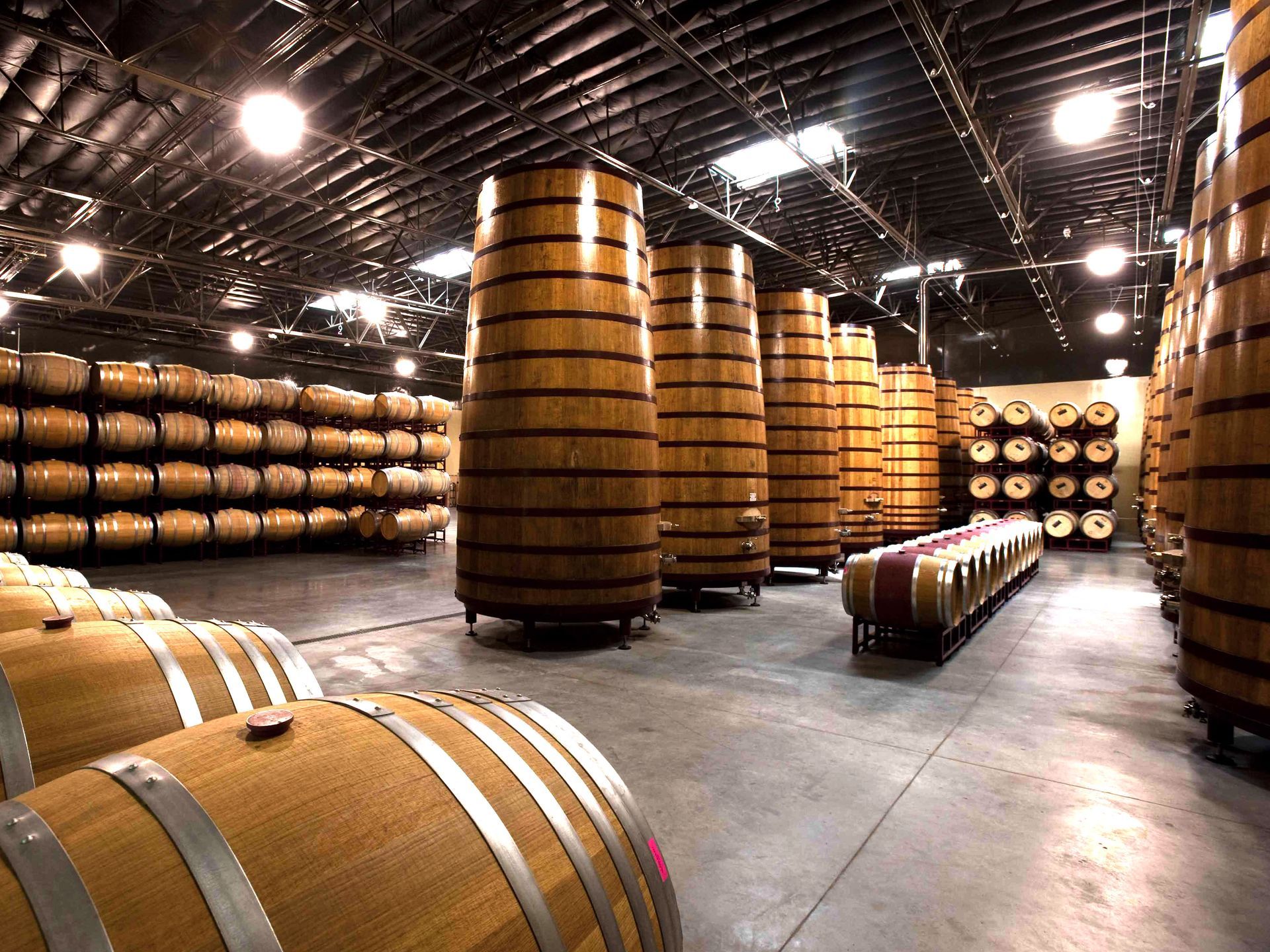 Wine barrels in a large cellar with ambient lighting; barrels of varying sizes.