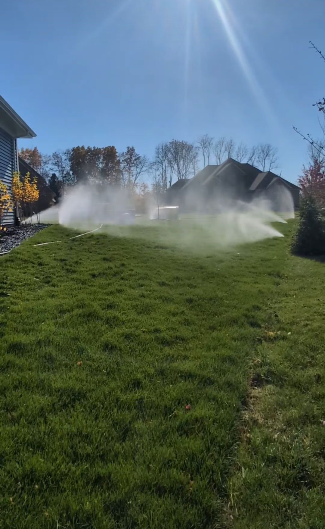 A sprinkler is spraying water on a lush green lawn.