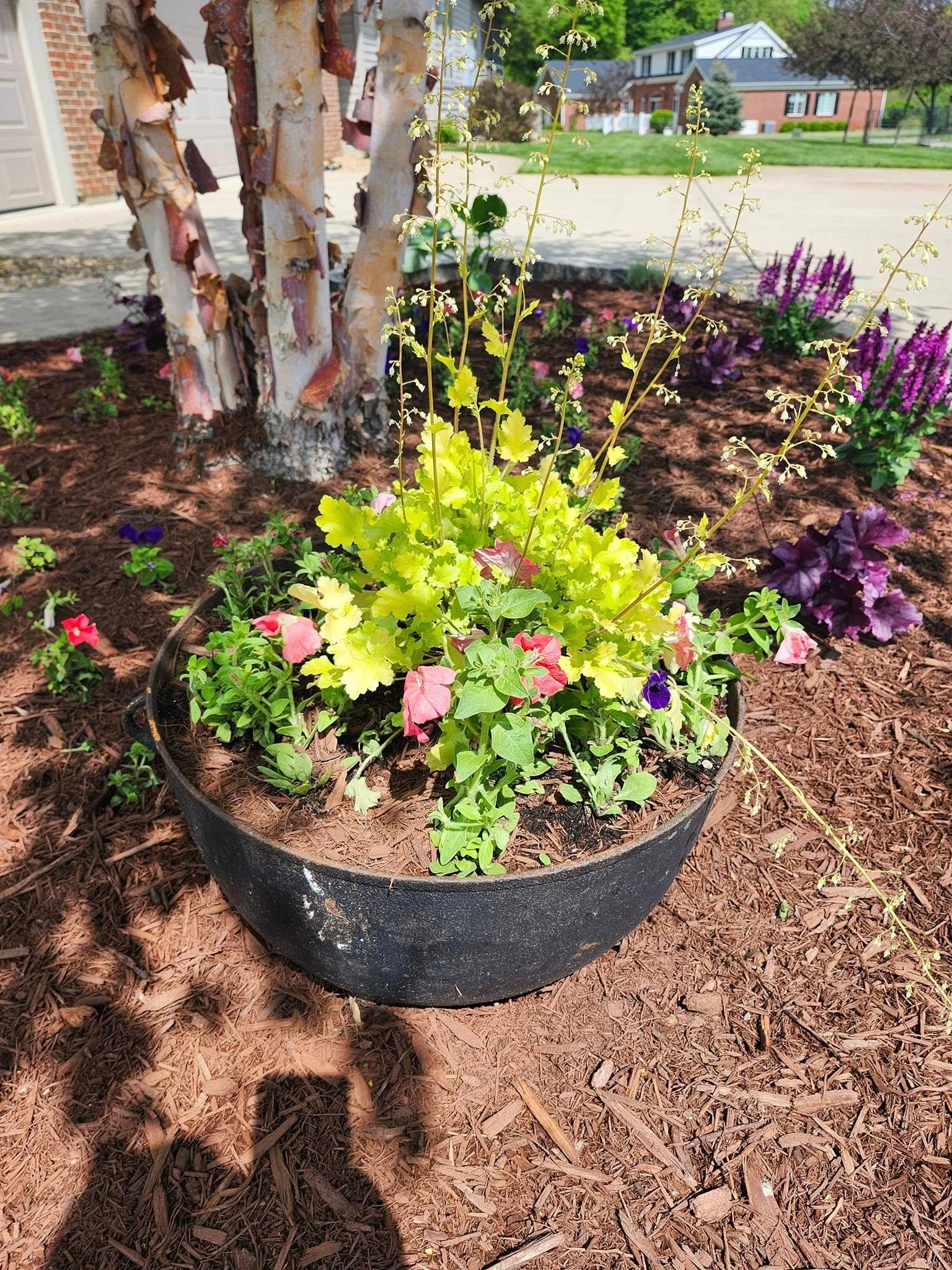 A black bowl filled with flowers is sitting in a garden next to a tree.