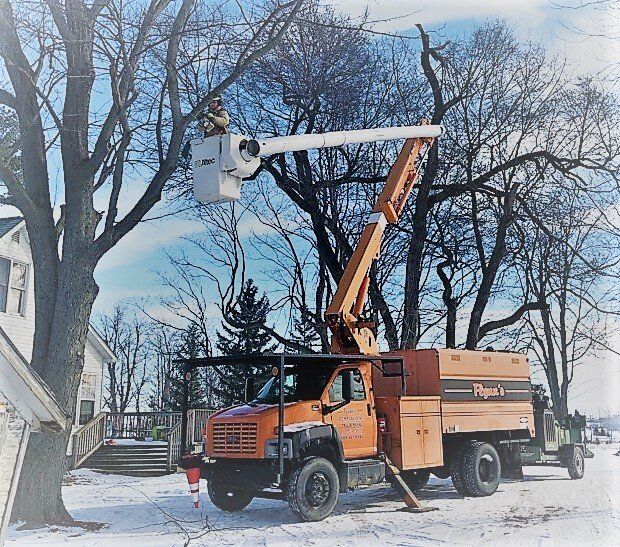 Tree_Trimming_Boom