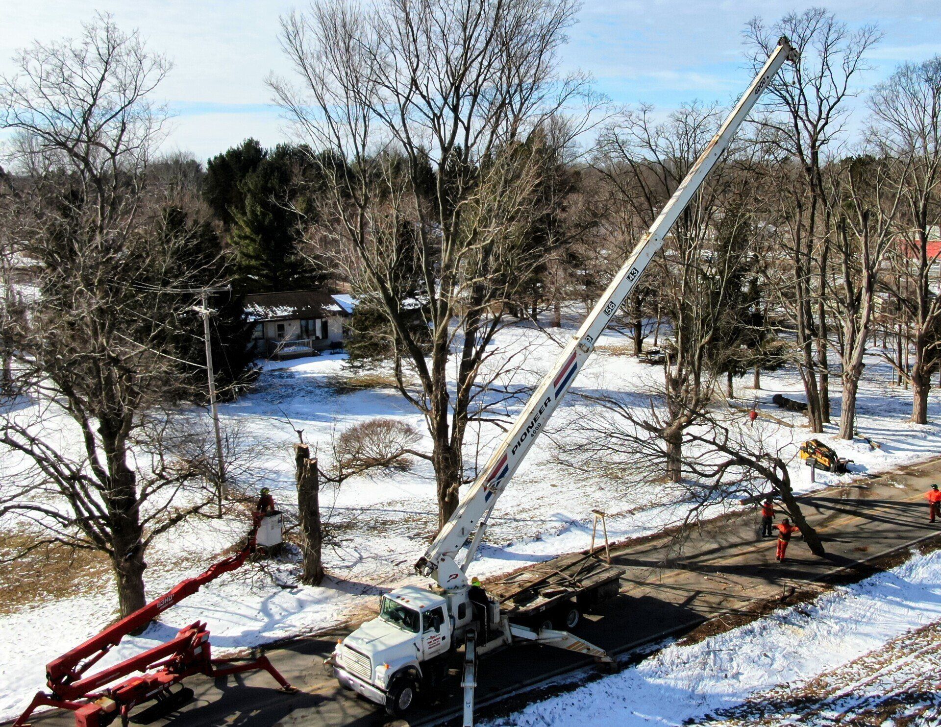 tree services crane
