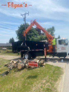 Tree Clean up