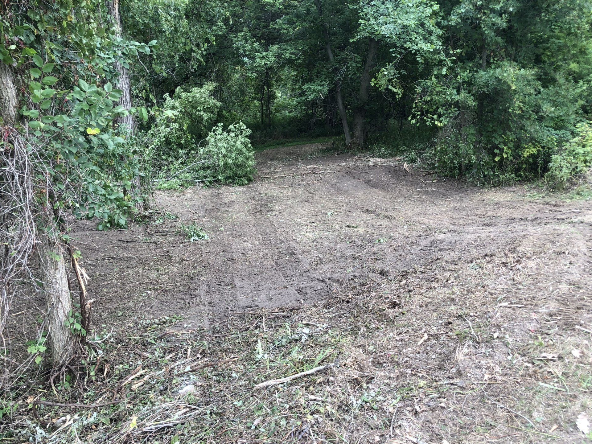 Lot and Land Clearing Service