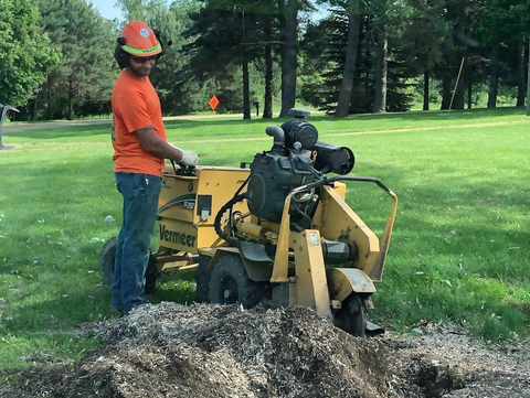 Stump Removal by Grinding