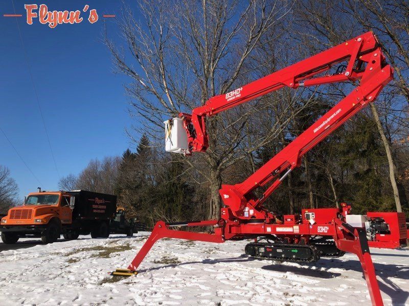 Tree_Removal_Boom