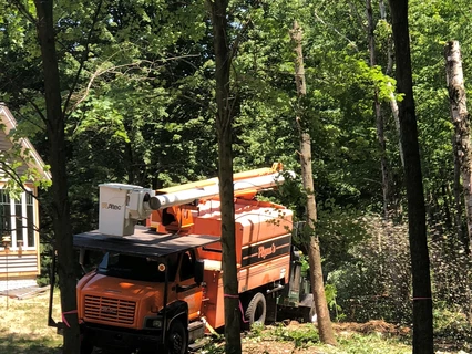 Flynn's_Tree_Service_Truck