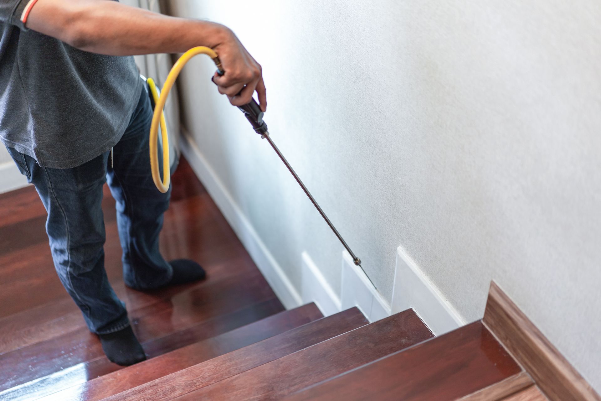 Person spraying pest control solution along baseboard beside a wooden staircase.