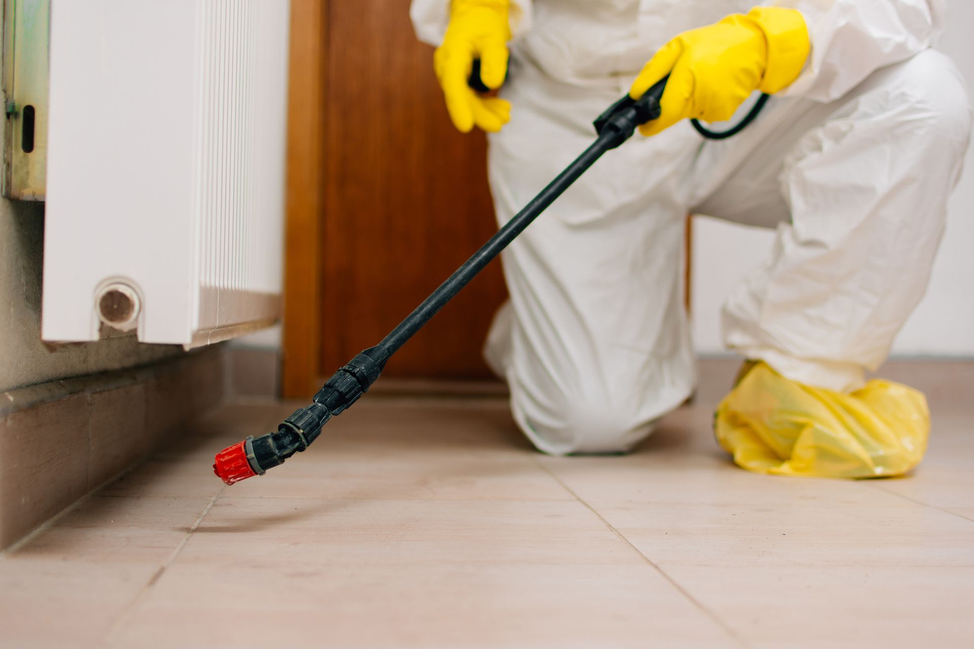 An individual with gloves is spraying a room, demonstrating a method used in pest control services.