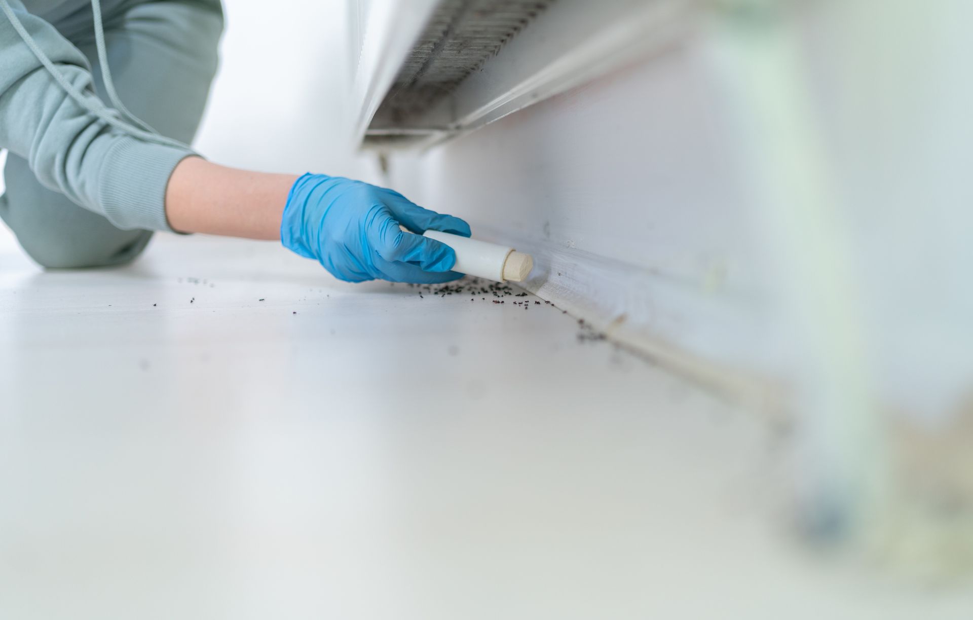 Pest control with poisonous substance, professional extermination, rodent control, chemical pest management, safety measures Pest control with poisonous substance, professional extermination, rodent control, chemical pest management, safety measures