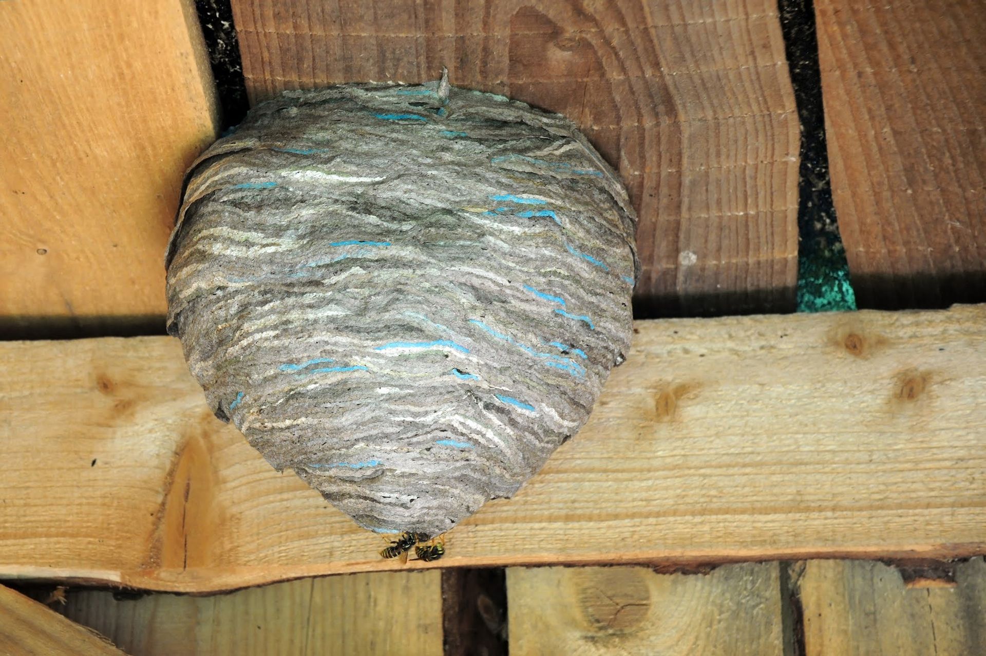 A wasp nest is sitting on top of a wooden fence.