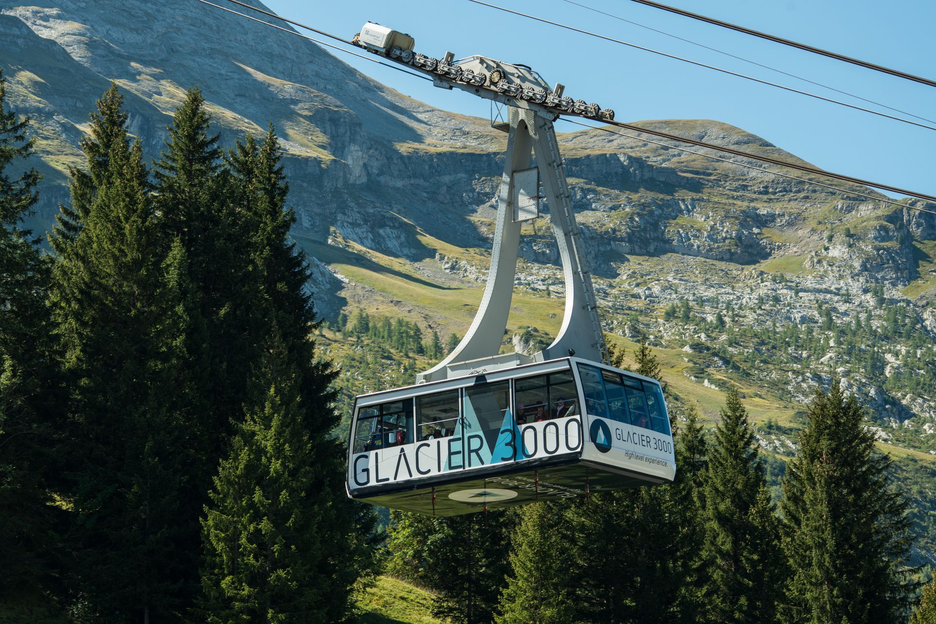 Cable car cabin gliding above pine trees with mountain backdrop and overhead cables