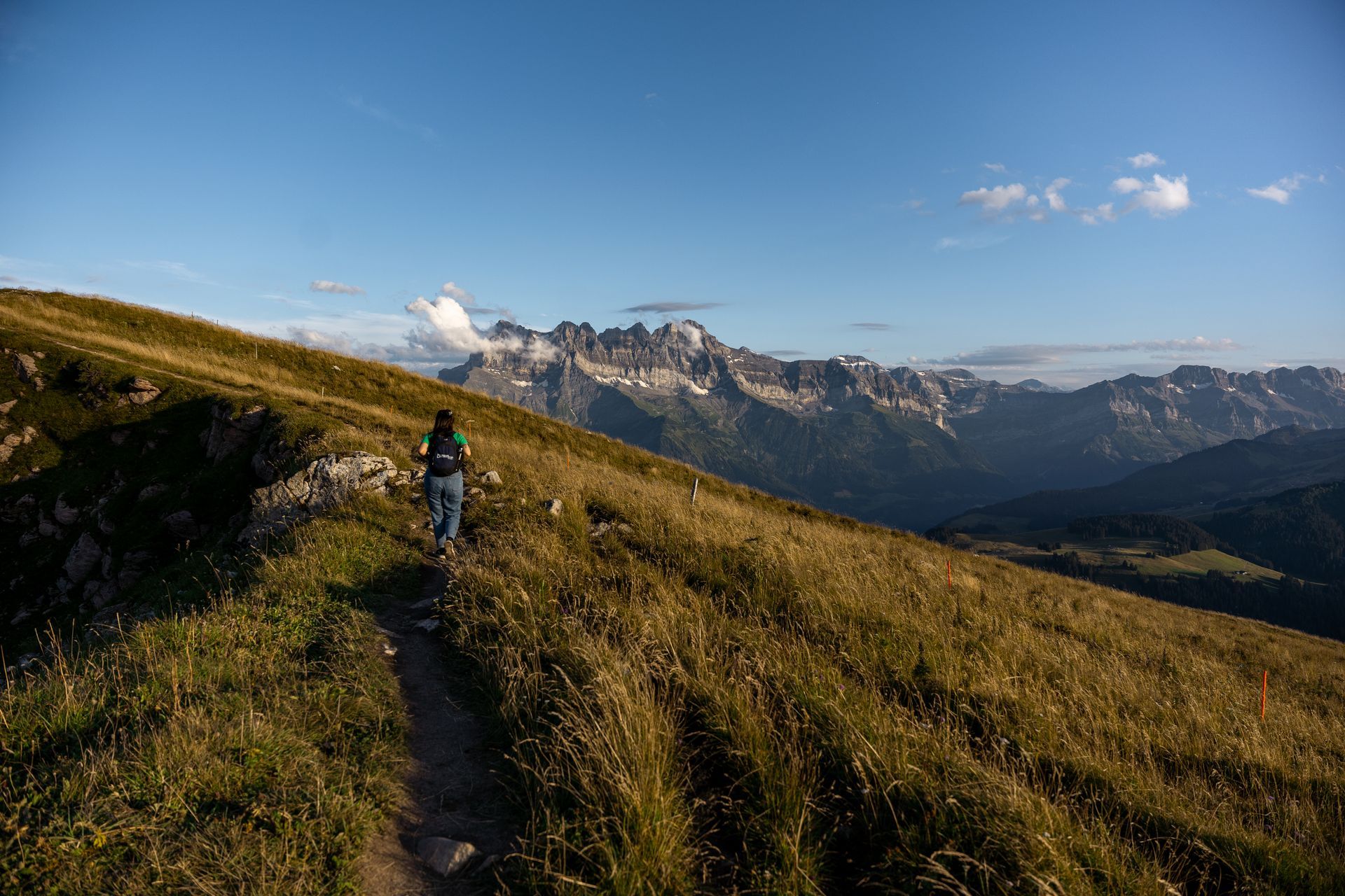Hiker on a grassy mountain ridge with snowy peaks under a clear blue sky