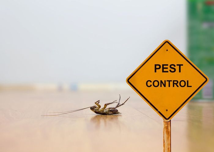 A Dead Cockroach With Pest Control Sign