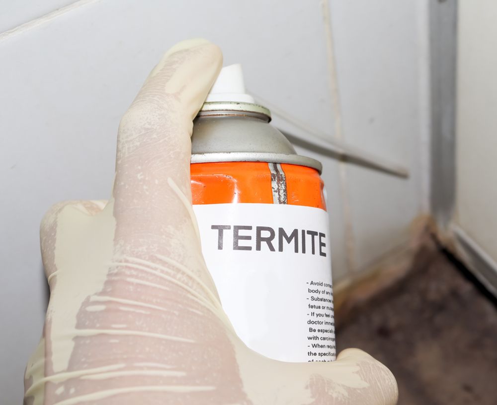 Professional Worker Using Termite Spray