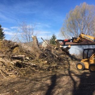 Man using a chainsaw to cut a fallen tree on a suburban street.
