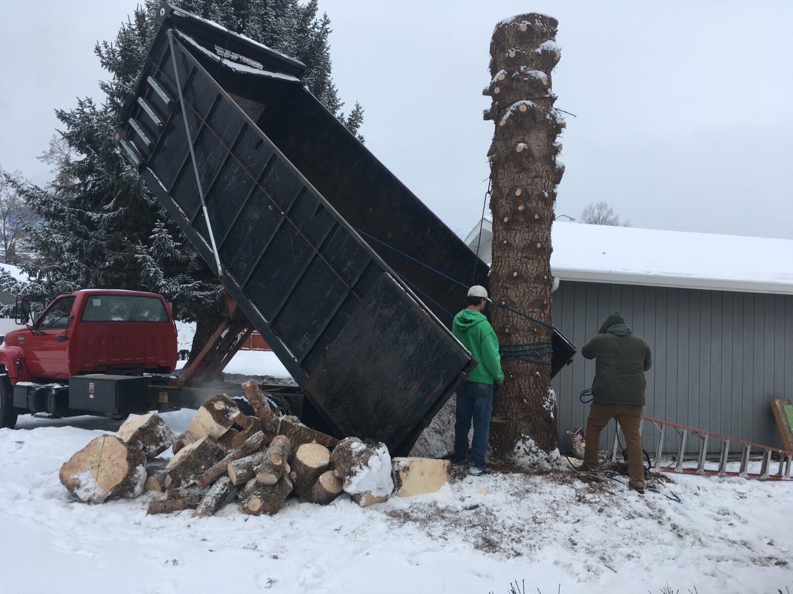 Man using a chainsaw to cut a fallen tree on a suburban street.
