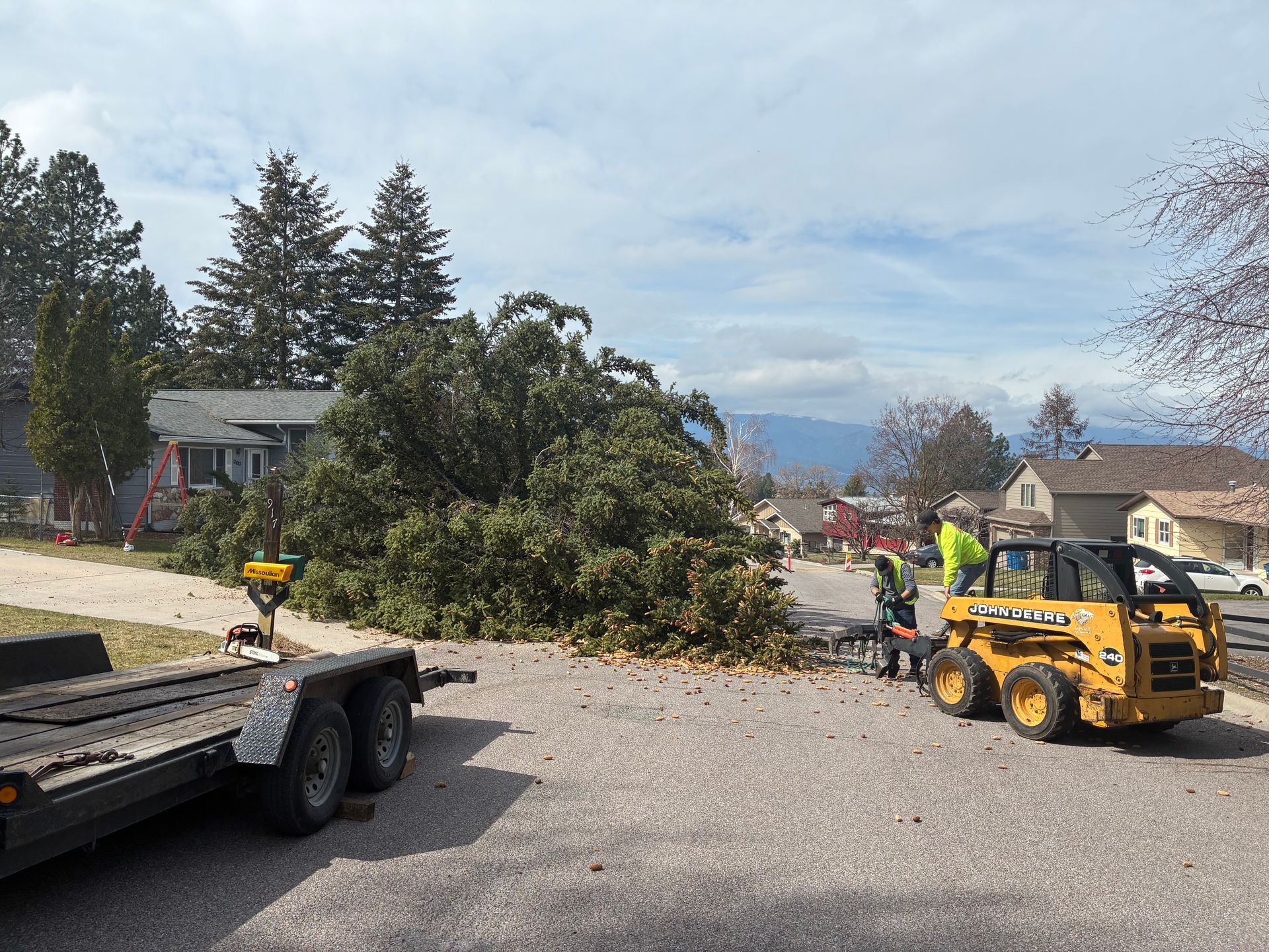 Man using a chainsaw to cut a fallen tree on a suburban street.