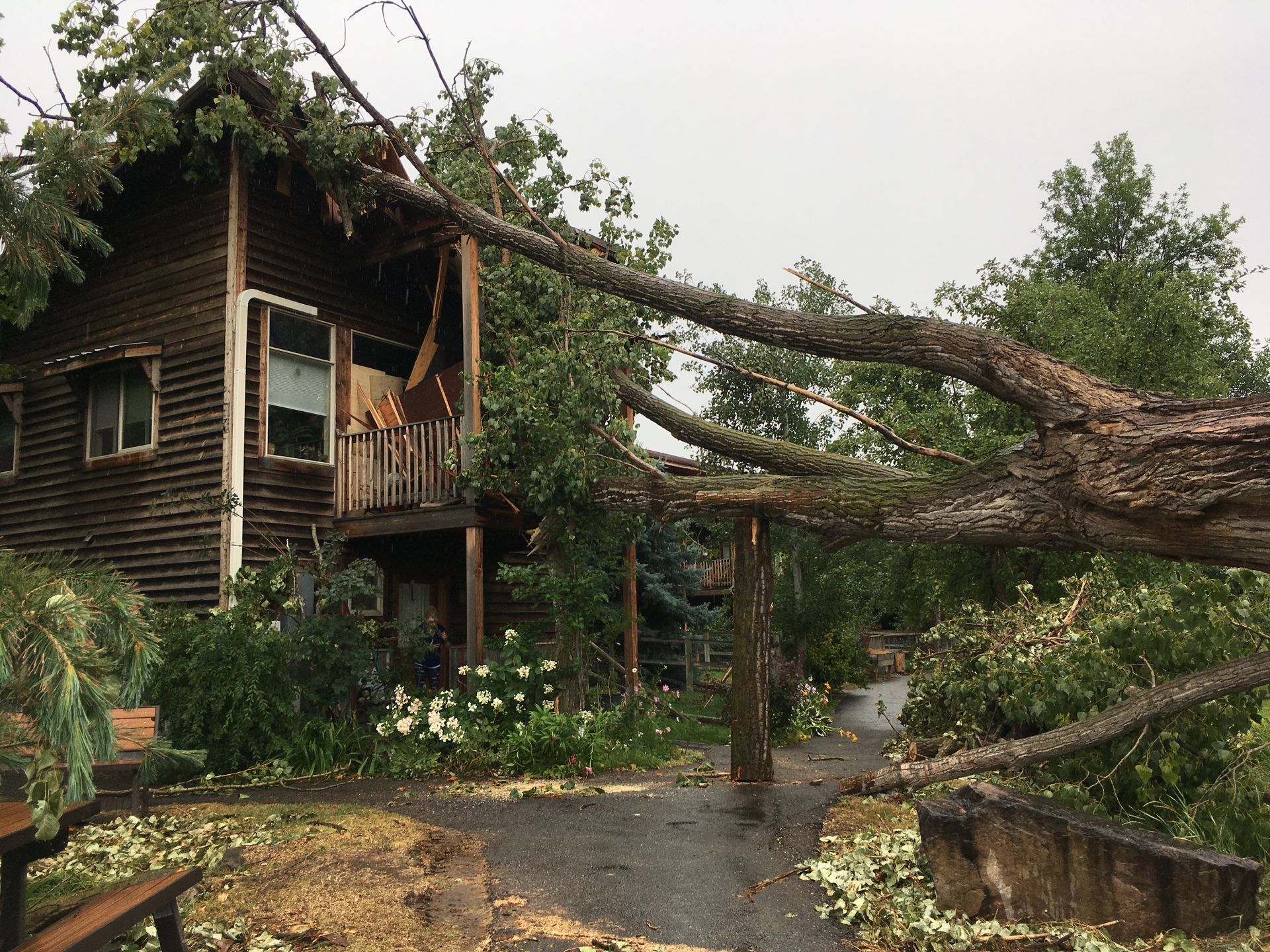 Two workers clearing debris from a tree, one sawing, the other raking on a road with construction in the background.
