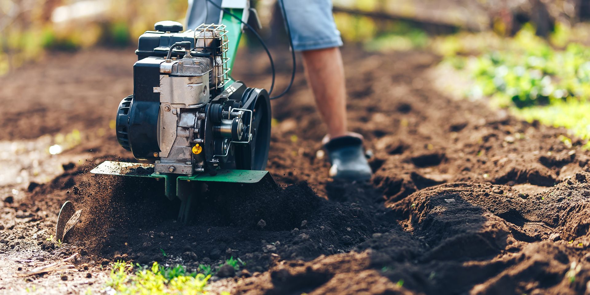 A person is using a small tractor to plow the soil in a garden