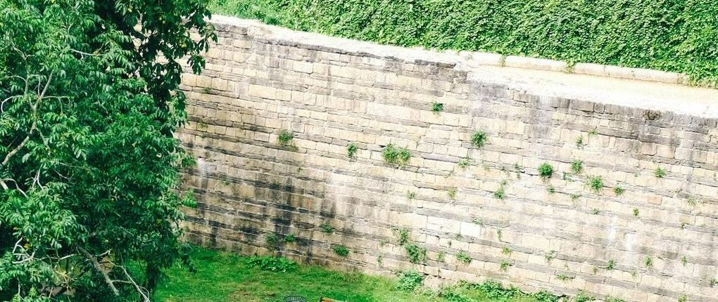 Renovated concrete retaining wall in Bendigo, VIC.