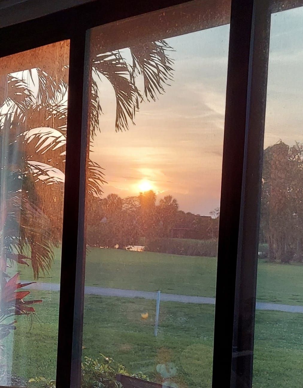 Sunset view through a window, showing a field and trees silhouetted by the golden sky.