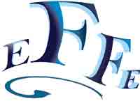 EFFE srl-Logo