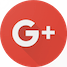 Google Plus logo leading to Evergreen Reviews