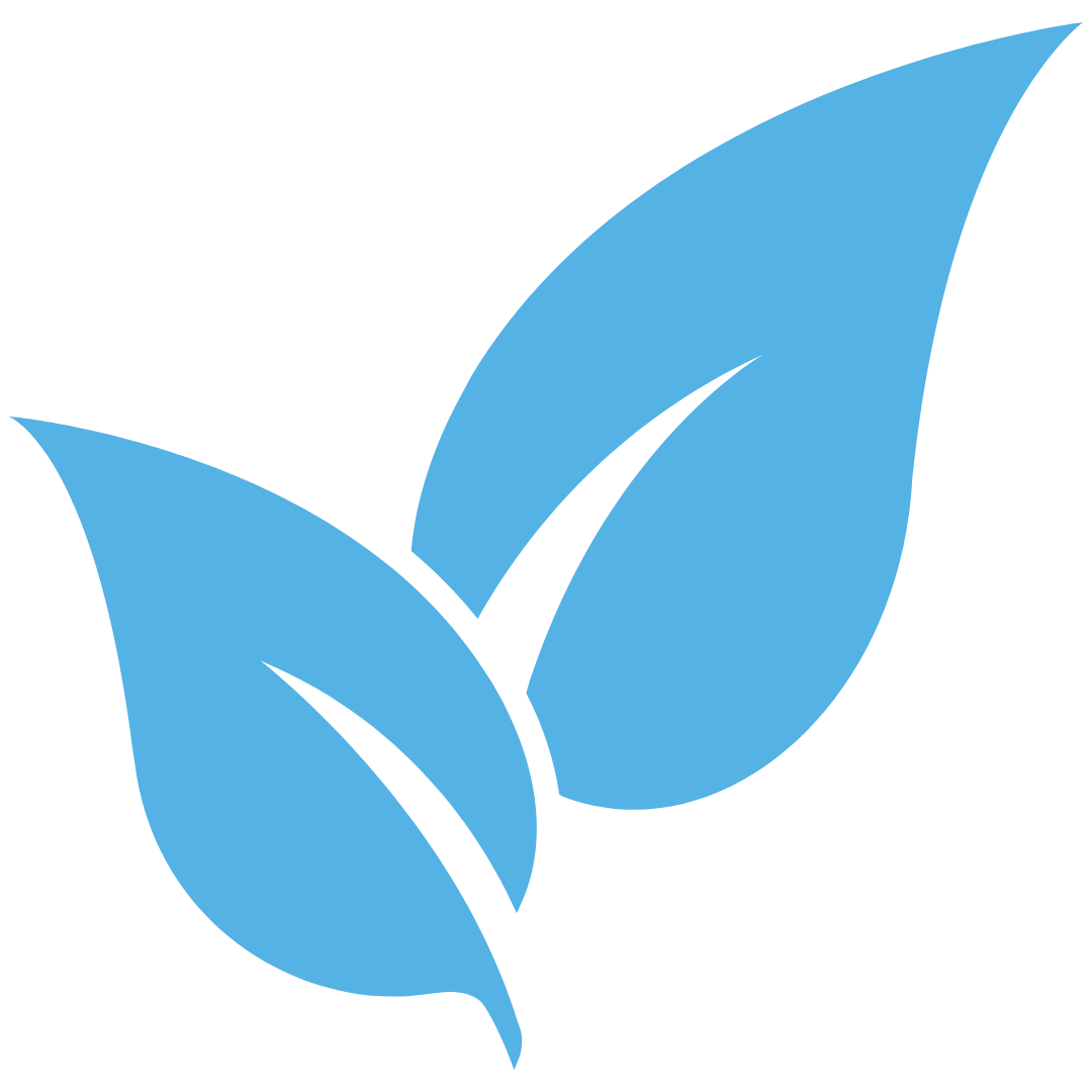 Two blue leaves are sitting next to each other on a white background.