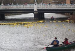 A couple of people are rowing a canoe on a river for the duck race.