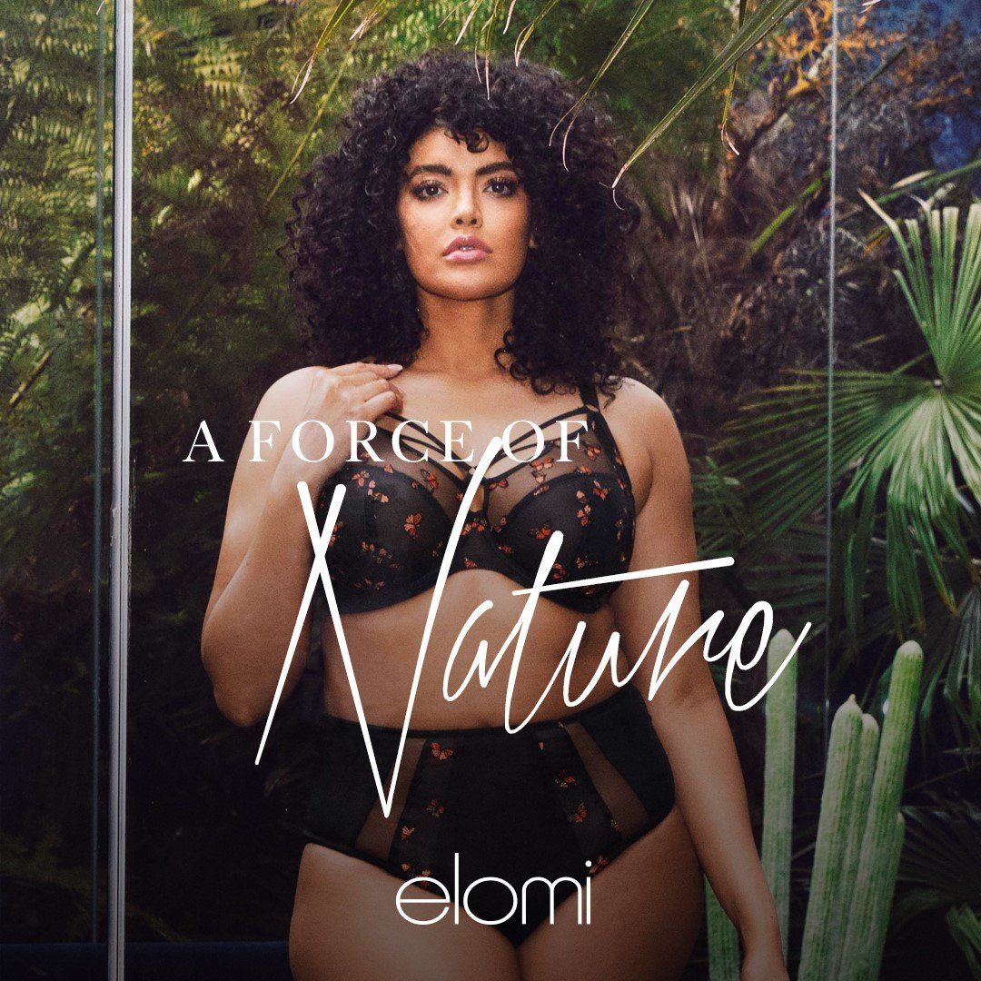 Elomi Lingerie — Flowood, MS — Sal-Liz Foundation & Lingerie Salon