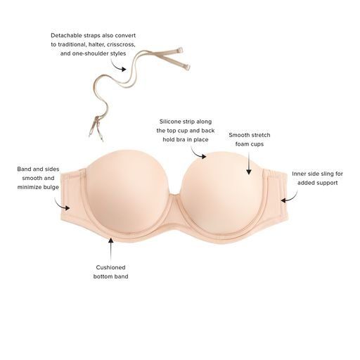 Anatomy Of A Strapless Bra — Flowood, MS — Sal-Liz Foundation & Lingerie Salon