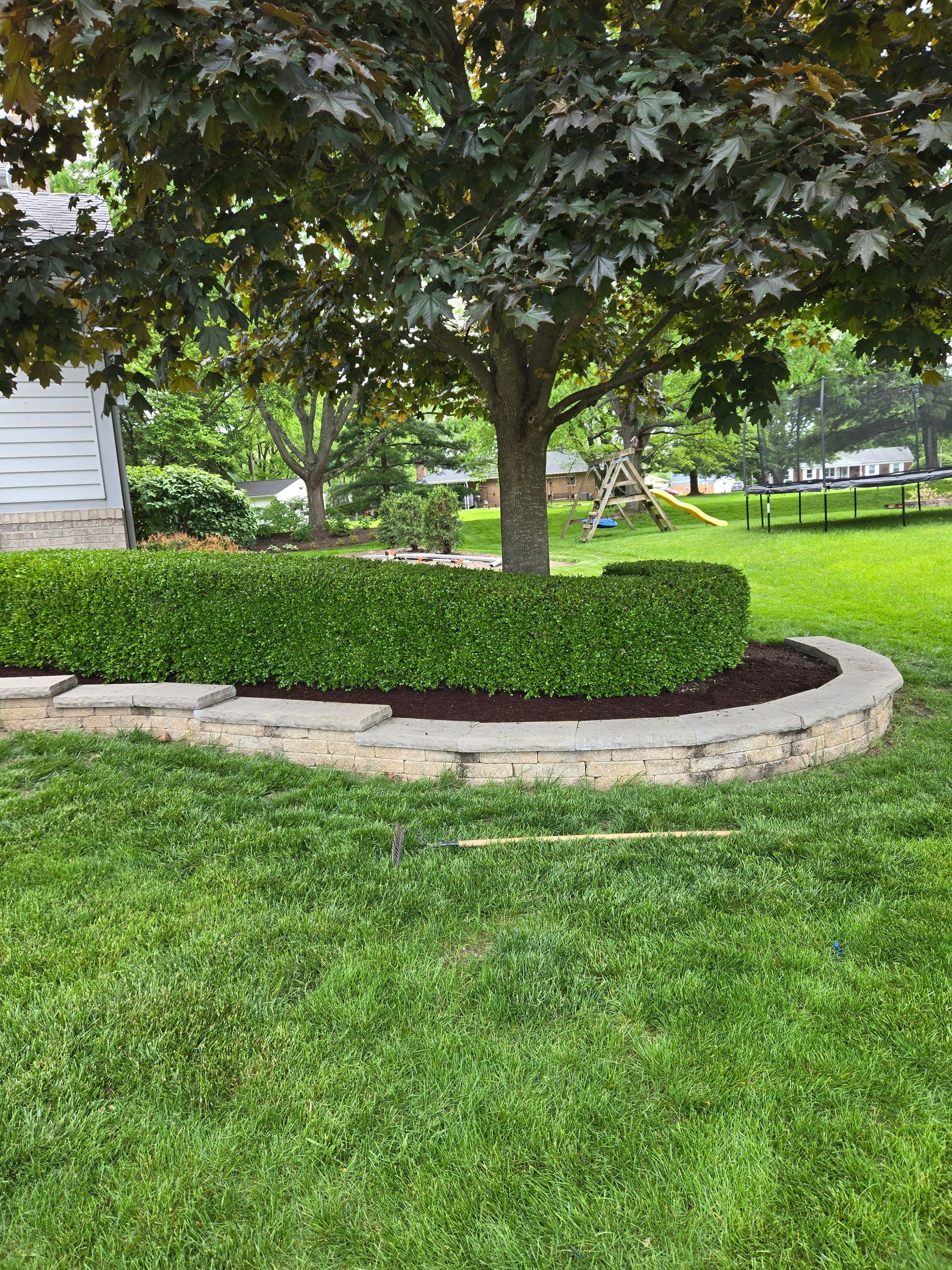 A driveway surrounded by trees and bushes leading to a house